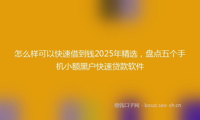 怎么样可以快速借到钱2025年精选，盘点五个手机小额黑户快速贷款软件