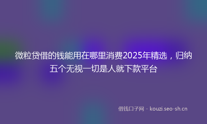 微粒贷借的钱能用在哪里消费2025年精选，归纳五个无视一切是人就下款平台