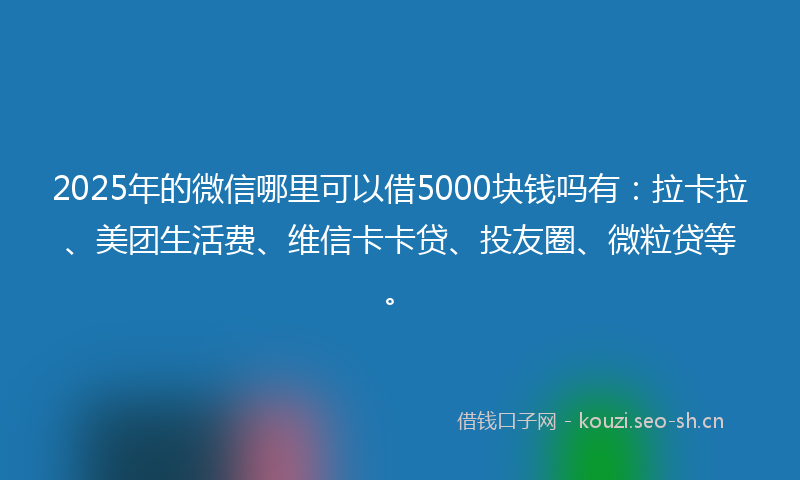 2025年的微信哪里可以借5000块钱吗有：拉卡拉、美团生活费、维信卡卡贷、投友圈、微粒贷等。