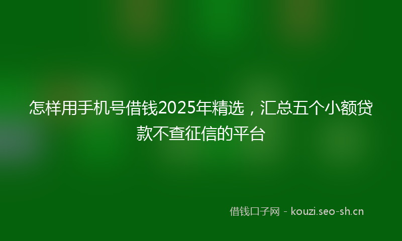 怎样用手机号借钱2025年精选，汇总五个小额贷款不查征信的平台