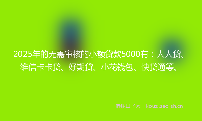 2025年的无需审核的小额贷款5000有：人人贷、维信卡卡贷、好期贷、小花钱包、快贷通等。