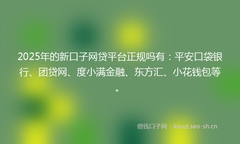 2025年的新口子网贷平台正规吗有：平安口袋银行、团贷网、度小满金融、东方汇、小花钱包等。