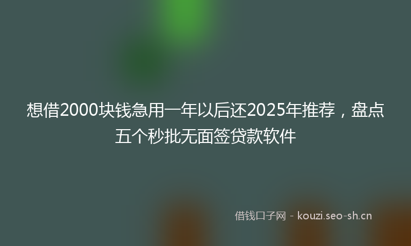 想借2000块钱急用一年以后还2025年推荐,盘点五个秒批无面签贷款软件