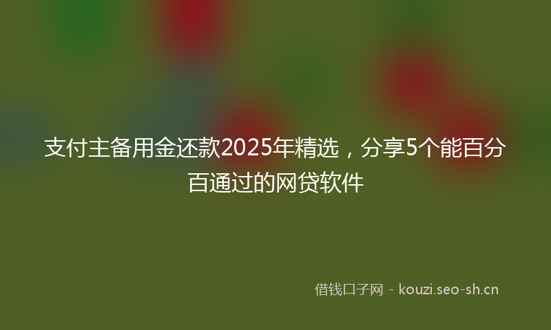 支付主备用金还款2025年精选，分享5个能百分百通过的网贷软件