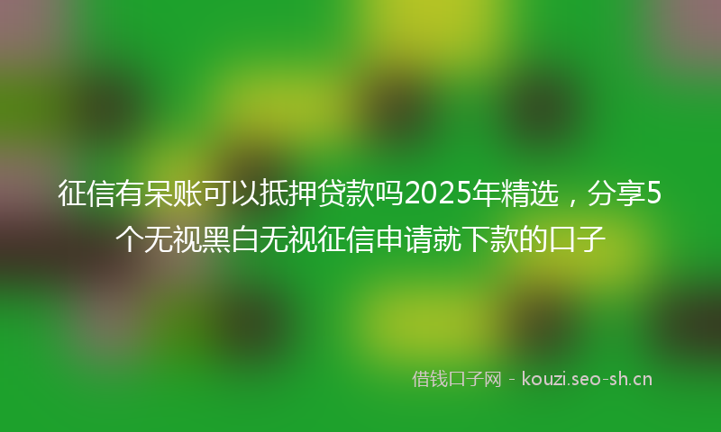 征信有呆账可以抵押贷款吗2025年精选，分享5个无视黑白无视征信申请就下款的口子