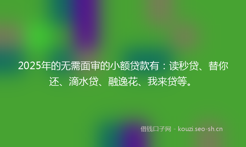 2025年的无需面审的小额贷款有：读秒贷、替你还、滴水贷、融逸花、我来贷等。