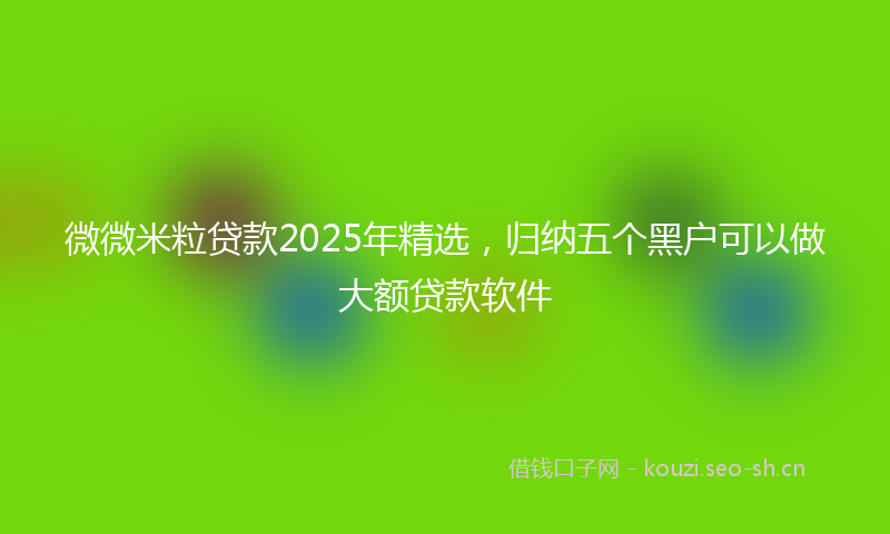 微微米粒贷款2025年精选，归纳五个黑户可以做大额贷款软件