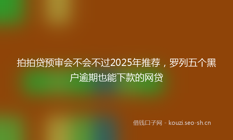 拍拍贷预审会不会不过2025年推荐，罗列五个黑户逾期也能下款的网贷