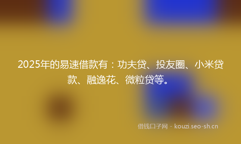 2025年的易速借款有：功夫贷、投友圈、小米贷款、融逸花、微粒贷等。