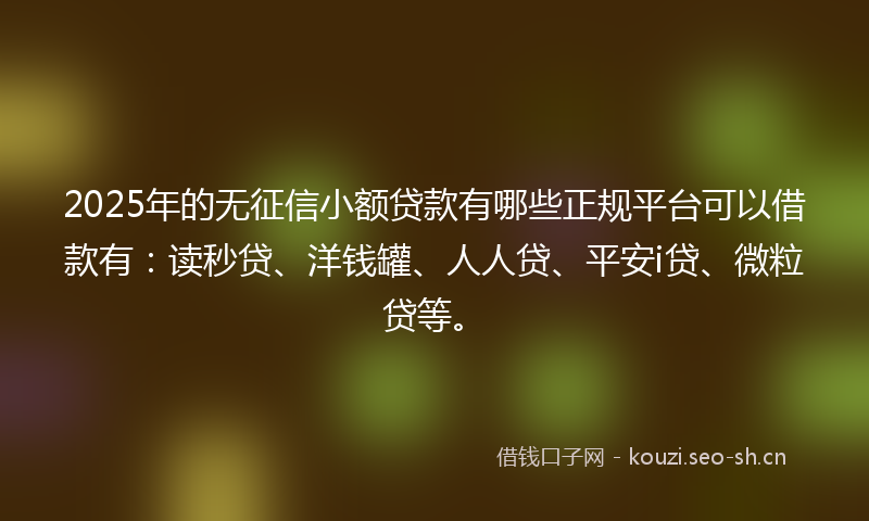 2025年的无征信小额贷款有哪些正规平台可以借款有：读秒贷、洋钱罐、人人贷、平安i贷、微粒贷等。