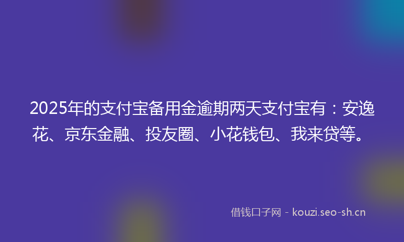 2025年的支付宝备用金逾期两天支付宝有：安逸花、京东金融、投友圈、小花钱包、我来贷等。