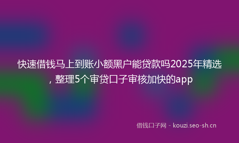 快速借钱马上到账小额黑户能贷款吗2025年精选，整理5个审贷口子审核加快的app
