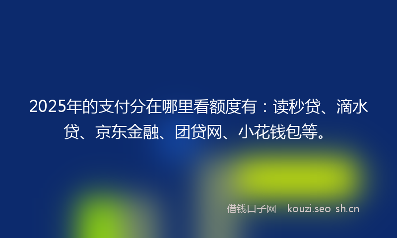 2025年的支付分在哪里看额度有：读秒贷、滴水贷、京东金融、团贷网、小花钱包等。