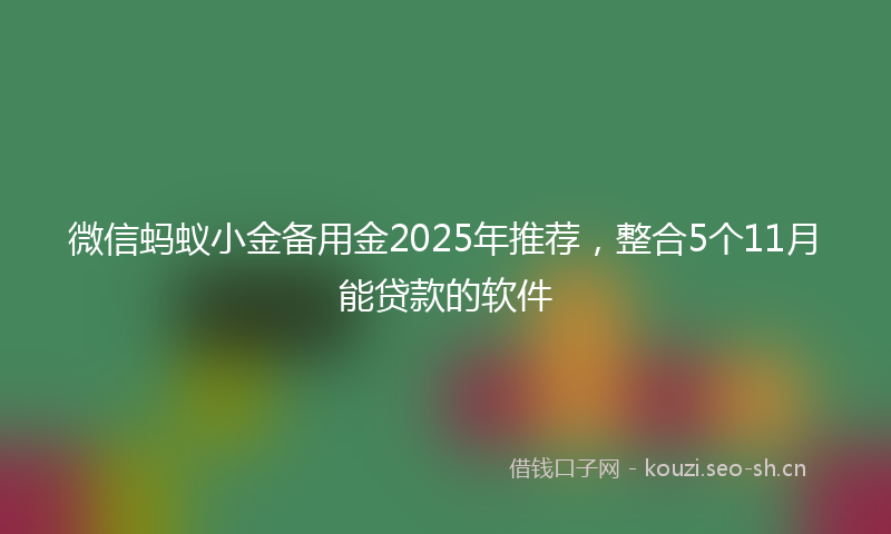 微信蚂蚁小金备用金2025年推荐，整合5个11月能贷款的软件