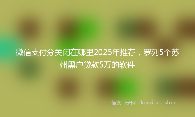 微信支付分关闭在哪里2025年推荐，罗列5个苏州黑户贷款5万的软件
