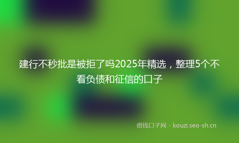 建行不秒批是被拒了吗2025年精选，整理5个不看负债和征信的口子
