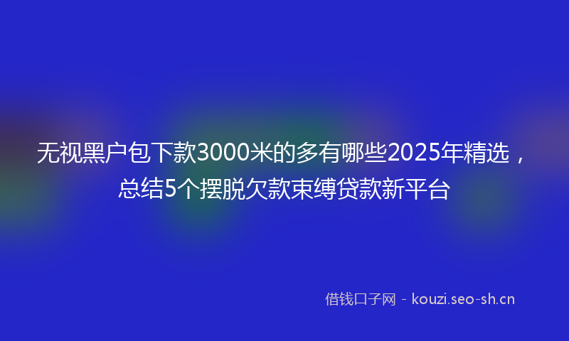 无视黑户包下款3000米的多有哪些2025年精选，总结5个摆脱欠款束缚贷款新平台