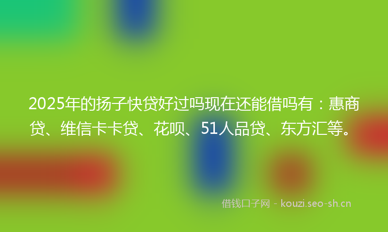 2025年的扬子快贷好过吗现在还能借吗有：惠商贷、维信卡卡贷、花呗、51人品贷、东方汇等。