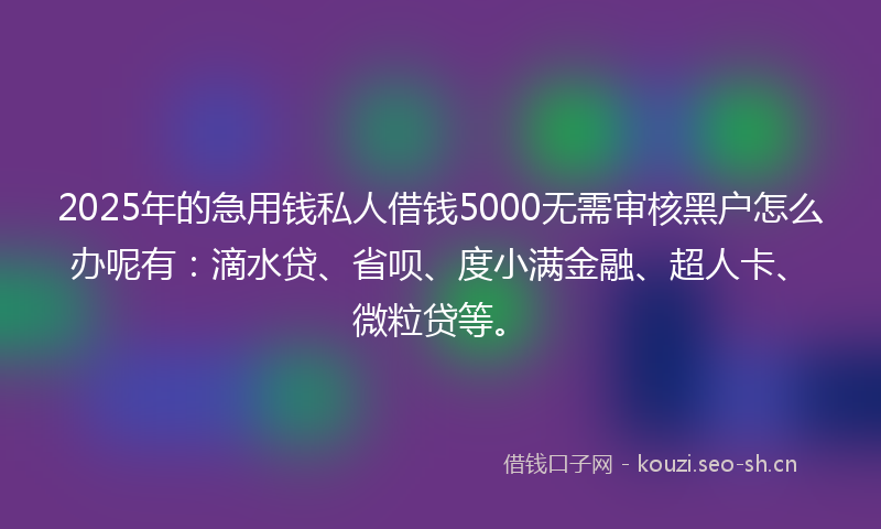 2025年的急用钱私人借钱5000无需审核黑户怎么办呢有:滴水贷、省呗、度小满金融、超人卡、微粒贷等。