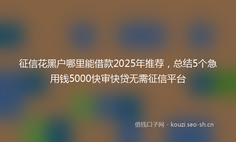 征信花黑户哪里能借款2025年推荐，总结5个急用钱5000快审快贷无需征信平台