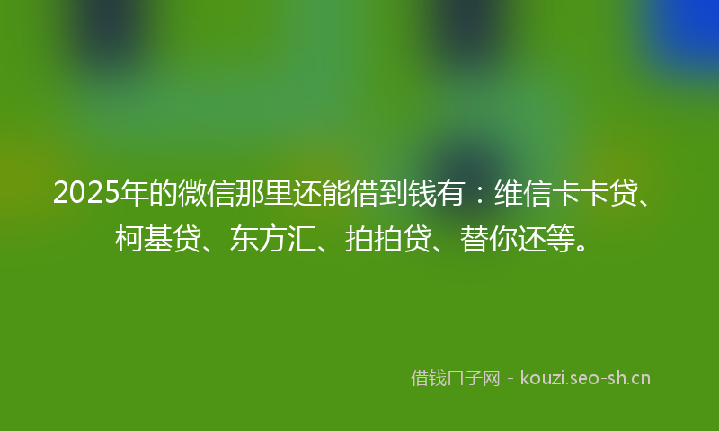 2025年的微信那里还能借到钱有：维信卡卡贷、柯基贷、东方汇、拍拍贷、替你还等。
