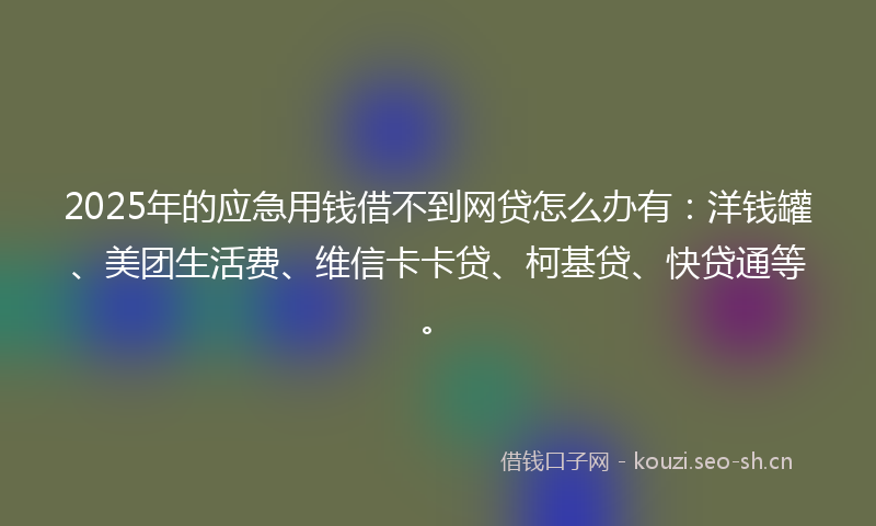 2025年的应急用钱借不到网贷怎么办有：洋钱罐、美团生活费、维信卡卡贷、柯基贷、快贷通等。