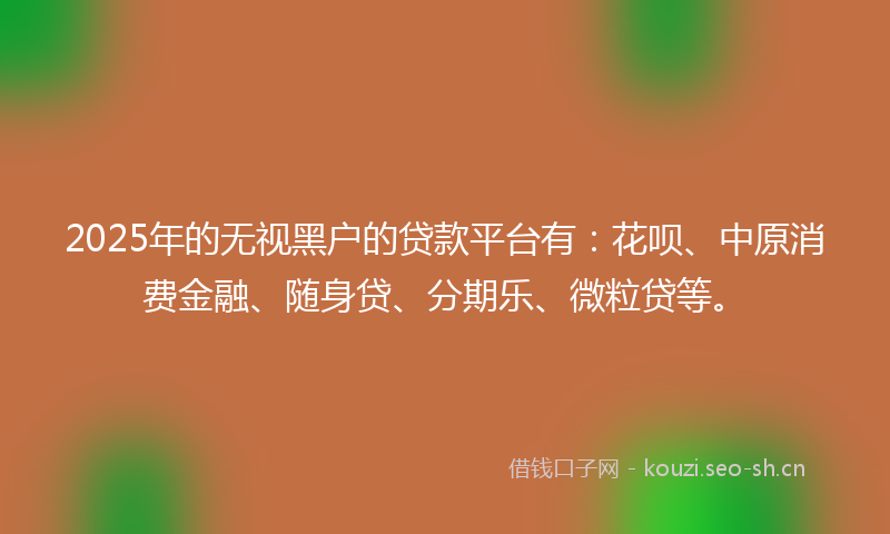 2025年的无视黑户的贷款平台有：花呗、中原消费金融、随身贷、分期乐、微粒贷等。