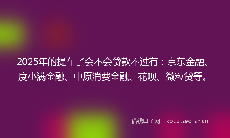 2025年的提车了会不会贷款不过有：京东金融、度小满金融、中原消费金融、花呗、微粒贷等。