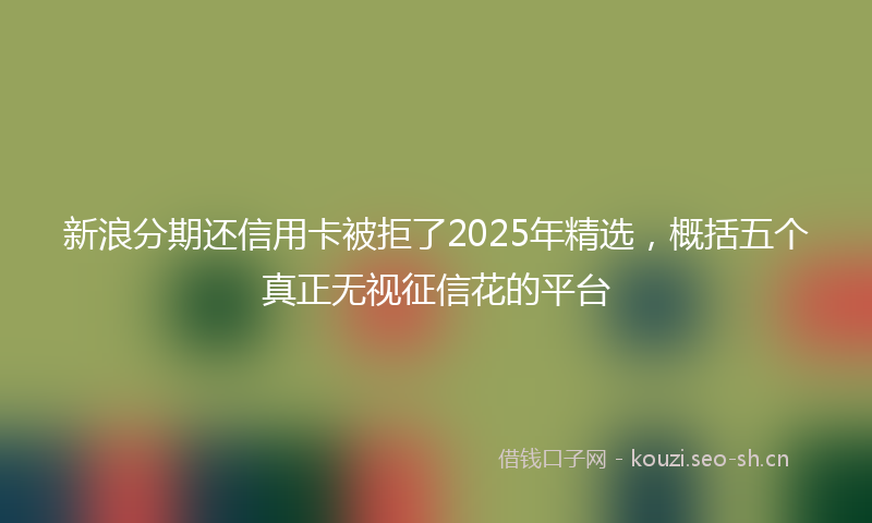 新浪分期还信用卡被拒了2025年精选，概括五个真正无视征信花的平台