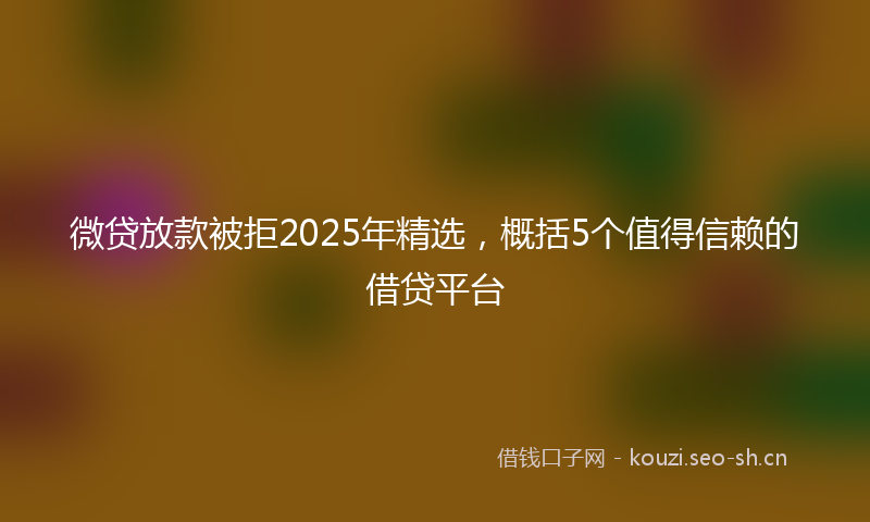 微贷放款被拒2025年精选，概括5个值得信赖的借贷平台