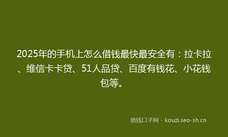 2025年的手机上怎么借钱最快最安全有：拉卡拉、维信卡卡贷、51人品贷、百度有钱花、小花钱包等。