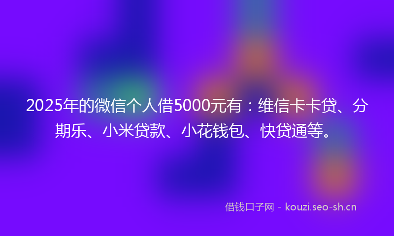 2025年的微信个人借5000元有：维信卡卡贷、分期乐、小米贷款、小花钱包、快贷通等。
