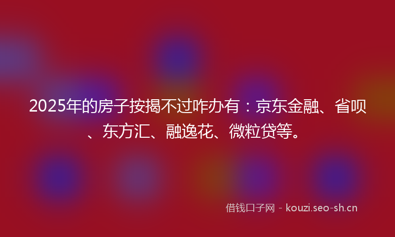 2025年的房子按揭不过咋办有：京东金融、省呗、东方汇、融逸花、微粒贷等。