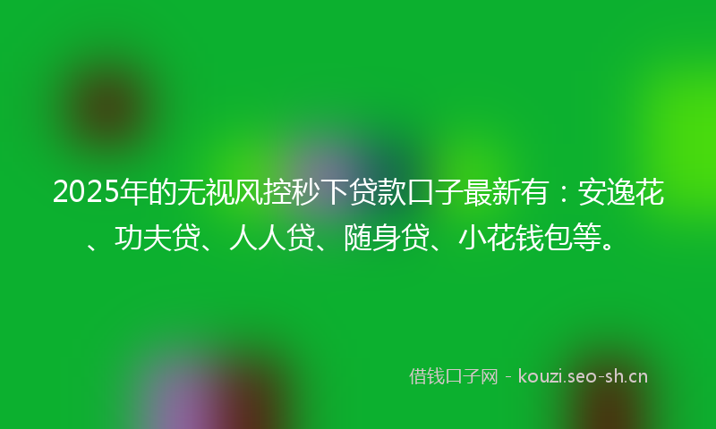2025年的无视风控秒下贷款口子最新有：安逸花、功夫贷、人人贷、随身贷、小花钱包等。