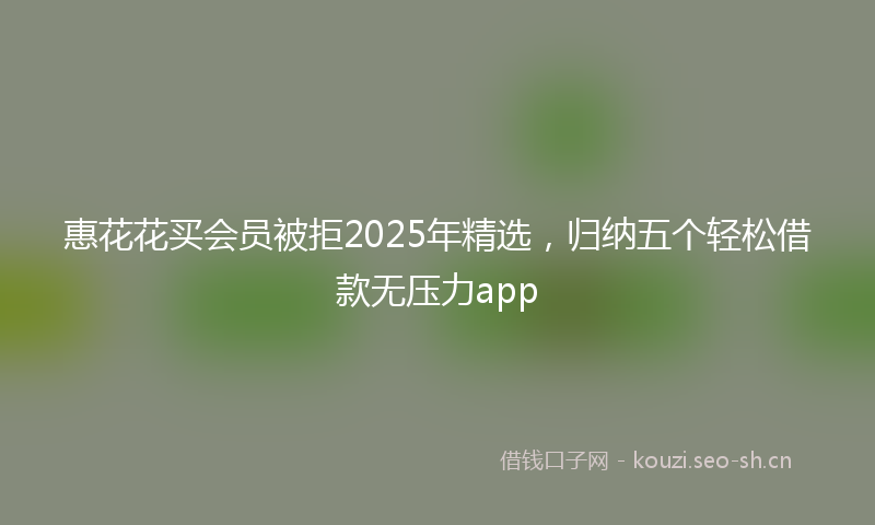 惠花花买会员被拒2025年精选，归纳五个轻松借款无压力app