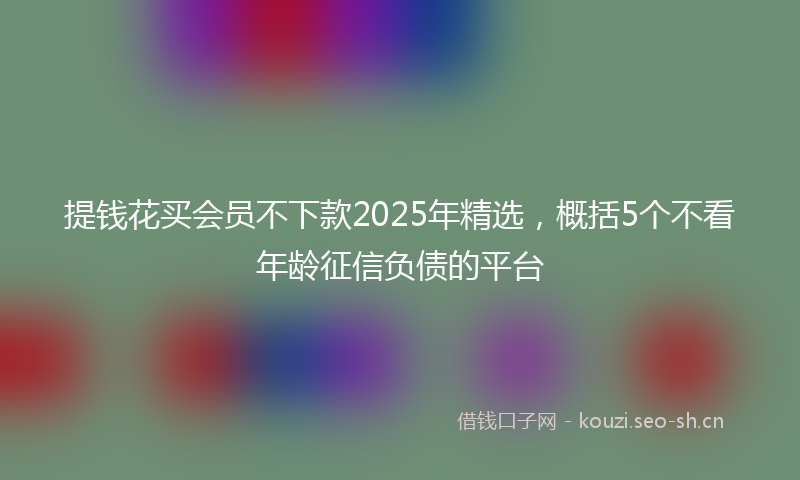 提钱花买会员不下款2025年精选，概括5个不看年龄征信负债的平台