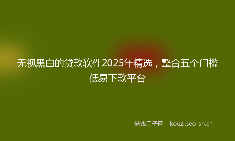 无视黑白的贷款软件2025年精选，整合五个门槛低易下款平台