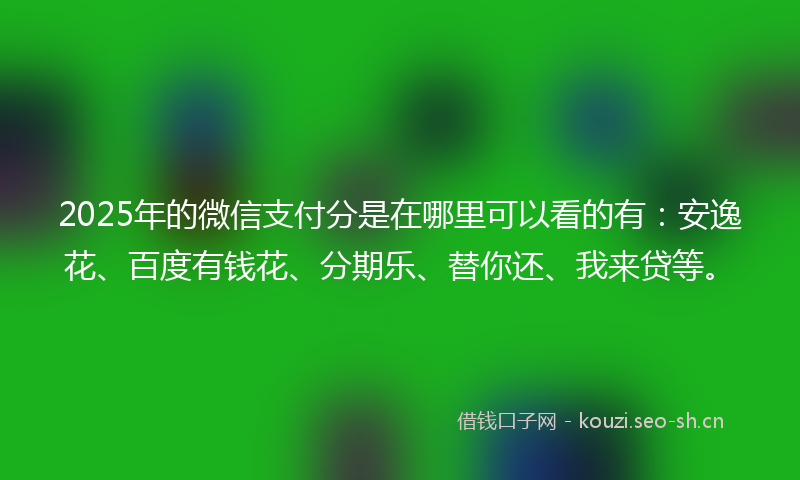 2025年的微信支付分是在哪里可以看的有：安逸花、百度有钱花、分期乐、替你还、我来贷等。