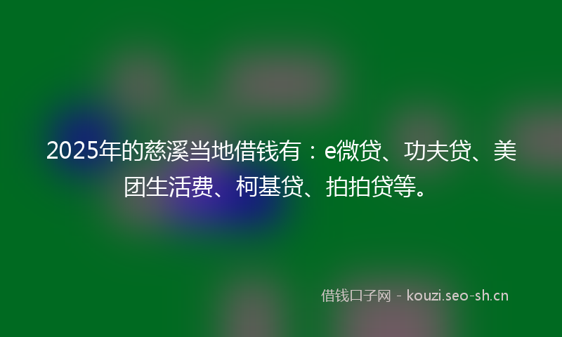 2025年的慈溪当地借钱有:e微贷、功夫贷、美团生活费、柯基贷、拍拍贷等。