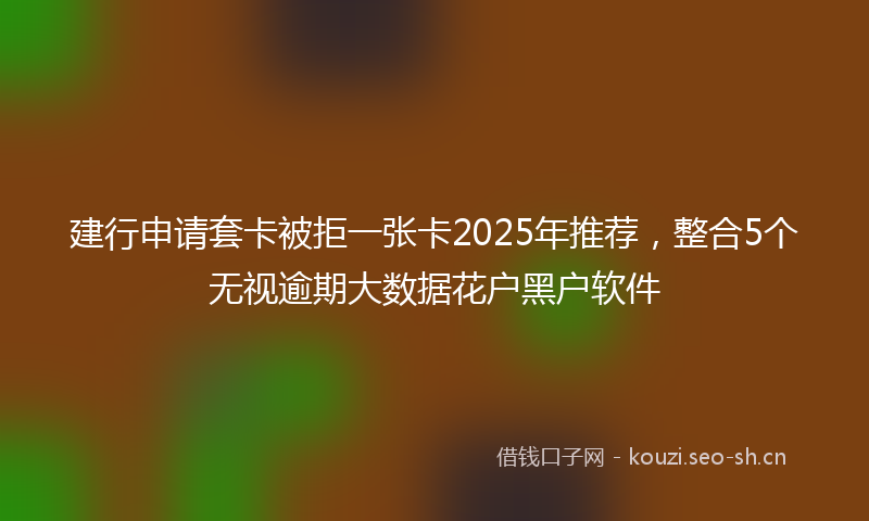 建行申请套卡被拒一张卡2025年推荐，整合5个无视逾期大数据花户黑户软件