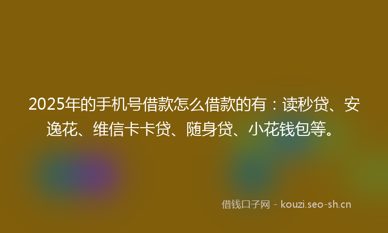 2025年的手机号借款怎么借款的有：读秒贷、安逸花、维信卡卡贷、随身贷、小花钱包等。