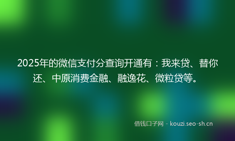 2025年的微信支付分查询开通有：我来贷、替你还、中原消费金融、融逸花、微粒贷等。