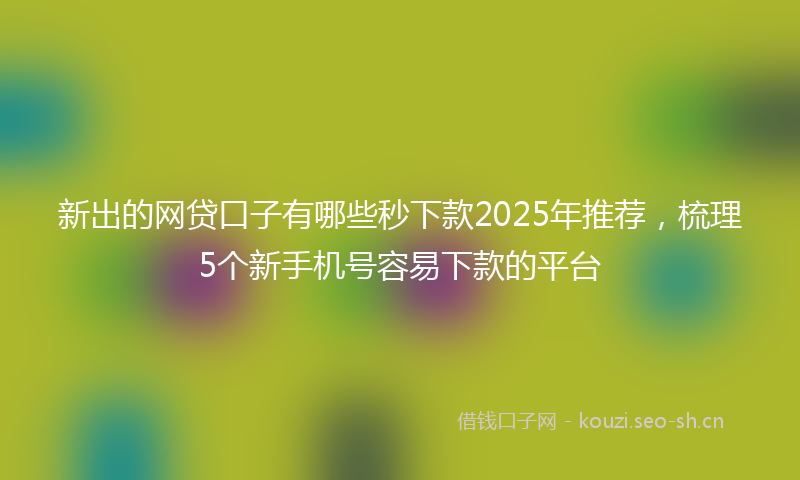 新出的网贷口子有哪些秒下款2025年推荐,梳理5个新手机号容易下款的平台