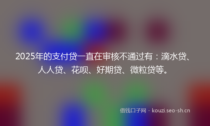 2025年的支付贷一直在审核不通过有：滴水贷、人人贷、花呗、好期贷、微粒贷等。