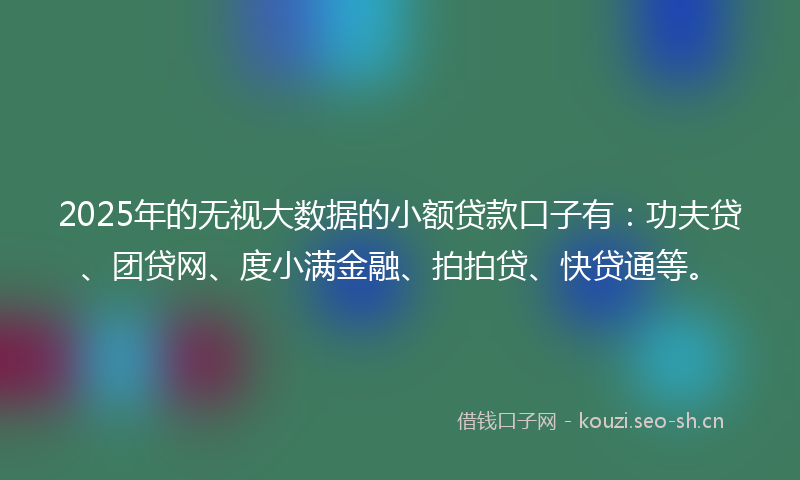 2025年的无视大数据的小额贷款口子有：功夫贷、团贷网、度小满金融、拍拍贷、快贷通等。