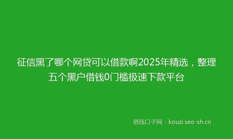 征信黑了哪个网贷可以借款啊2025年精选,整理五个黑户借钱0门槛极速下款平台