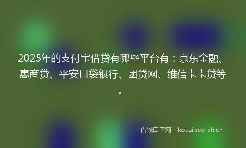 2025年的支付宝借贷有哪些平台有：京东金融、惠商贷、平安口袋银行、团贷网、维信卡卡贷等。