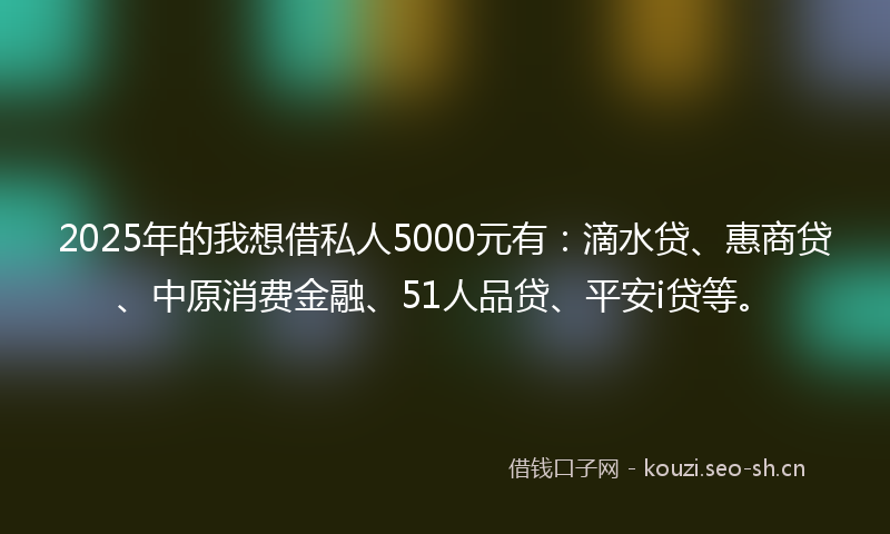 2025年的我想借私人5000元有：滴水贷、惠商贷、中原消费金融、51人品贷、平安i贷等。