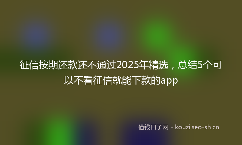 征信按期还款还不通过2025年精选,总结5个可以不看征信就能下款的app