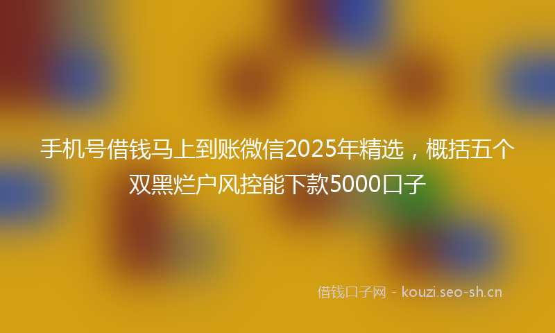 手机号借钱马上到账微信2025年精选,概括五个双黑烂户风控能下款5000口子